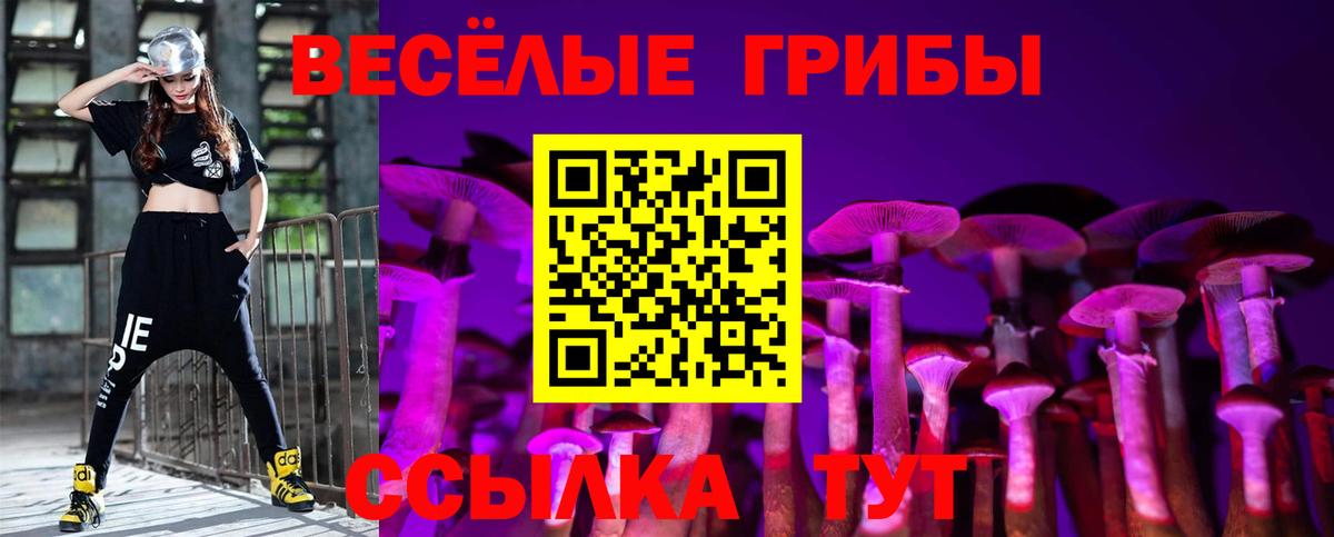 Псилоцибиновые грибы ЛСД Качканар